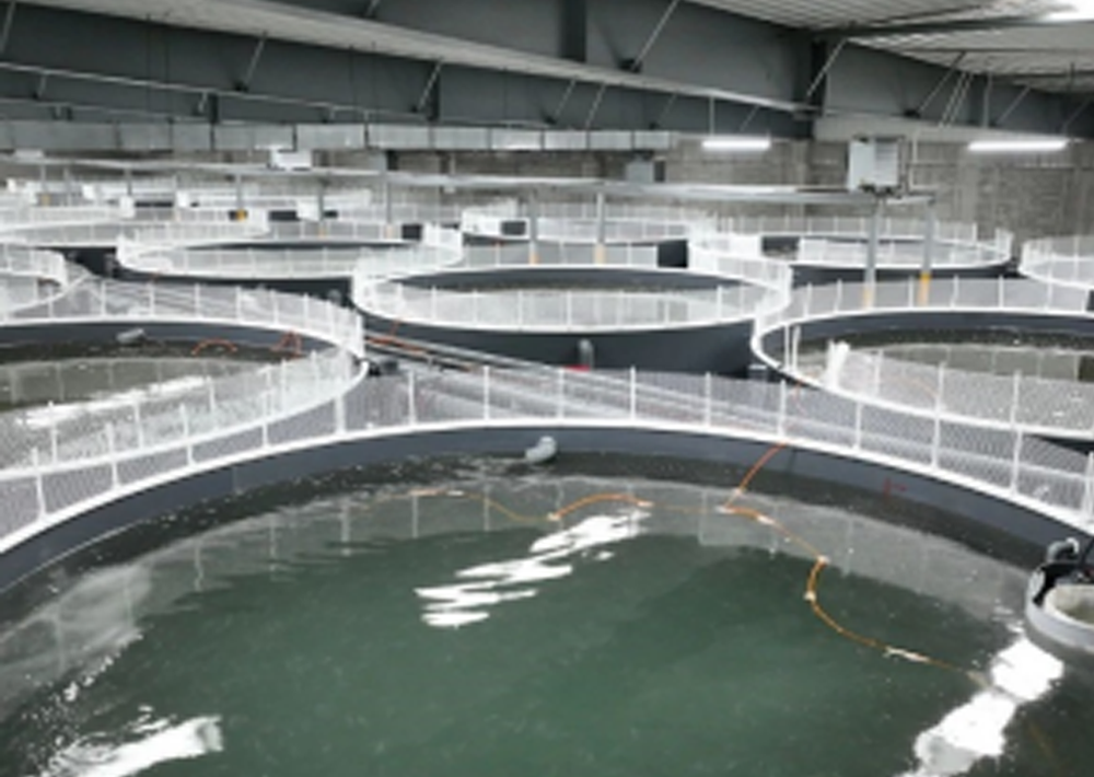 生物絮团水质调控技术