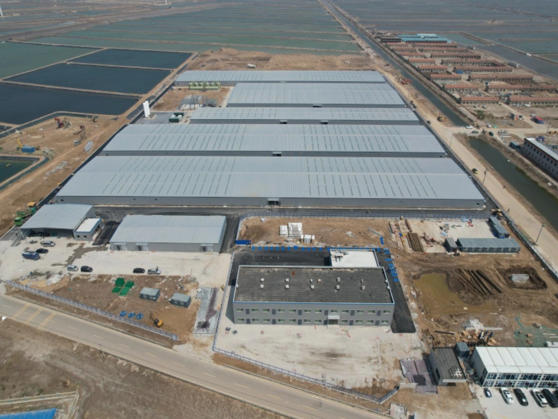 东营某企业对虾养殖中试基地生物膜案例